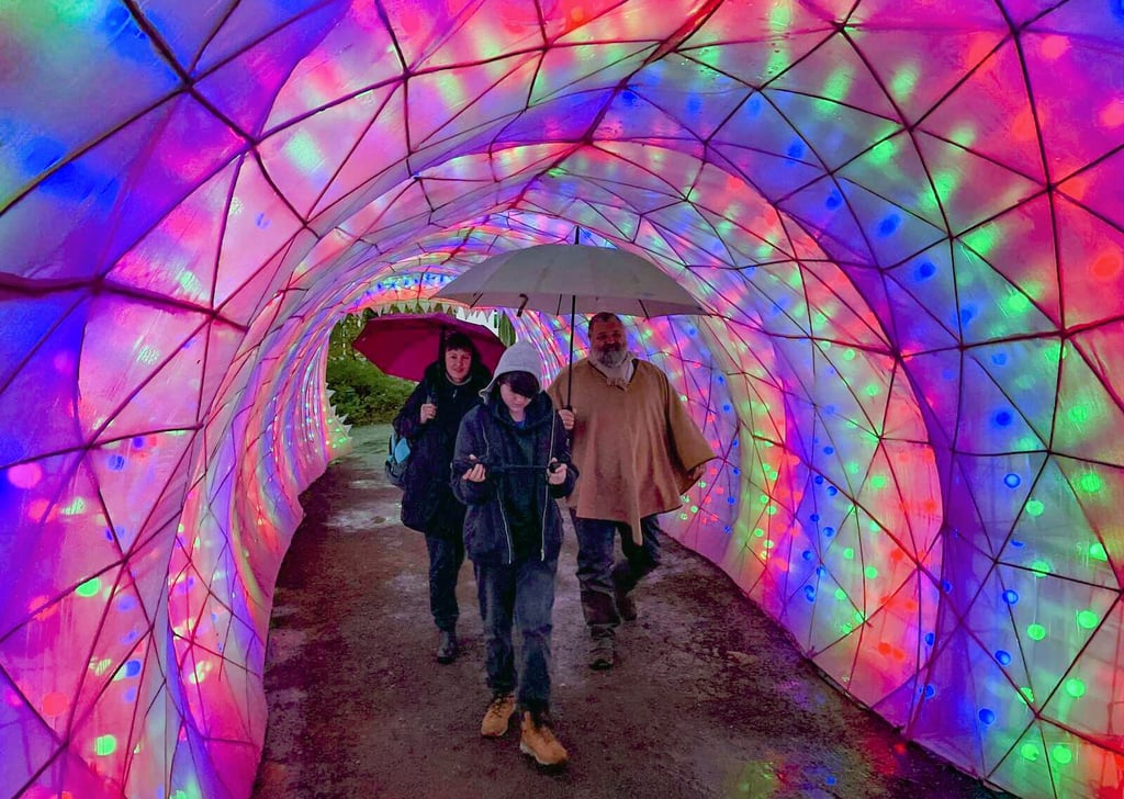 Begehbarer Urzeit-Hai: Schon kurz nach der Eröffnung der „Magischen Lichterwelten“ am Freitagabend kommen die ersten Besucher in den Bergzoo Halle – trotz des Regens.