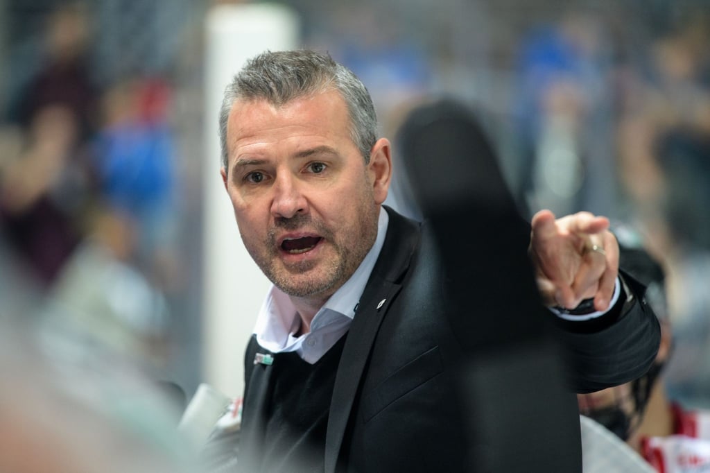 Trainer Serge Aubin von den Eisbären Berlin gestikuliert.