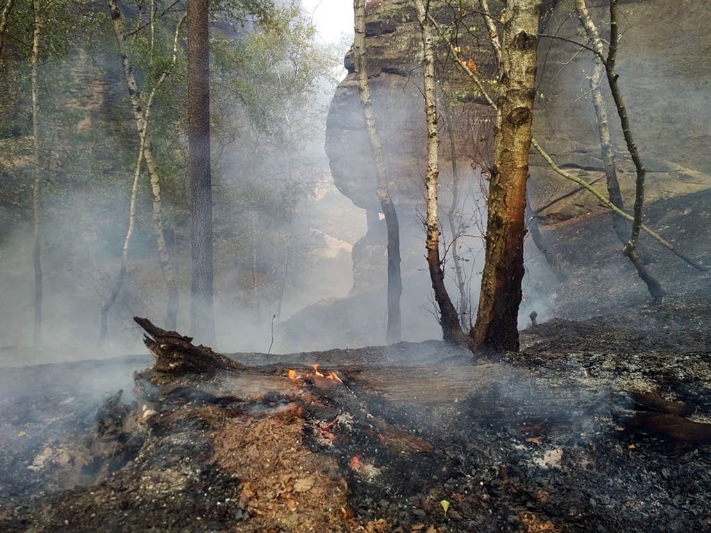 Ein Waldbrand qualmt im Nationalpark Sächsische Schweiz nahe der Bastei.