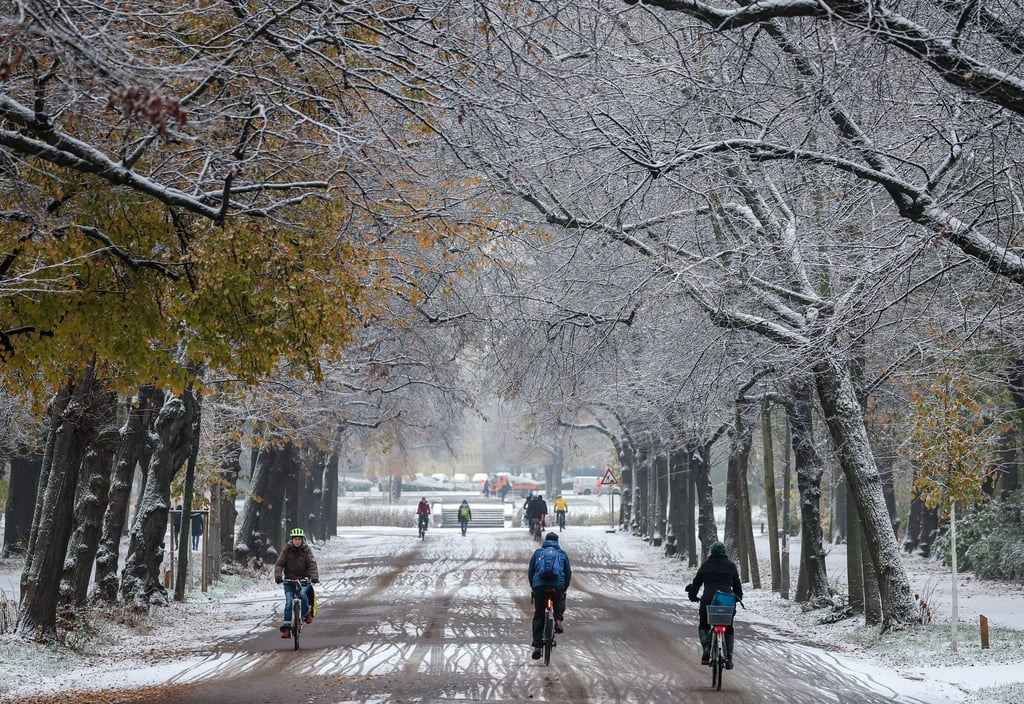Radfahrer fahren über die verschneite Brucknerallee im Leipziger Clara-Zetkin-Park.