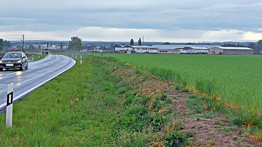 Vor den Toren von Calvörde könnte auf ertragsarmen landwirtschaftlichen Flächen ein etwa 53 Hektar großer Solarpark entstehen.