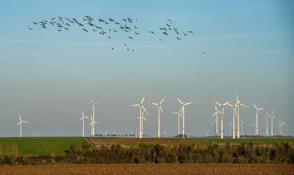Der Fachkräftemangel bremst die Energiewende aus.