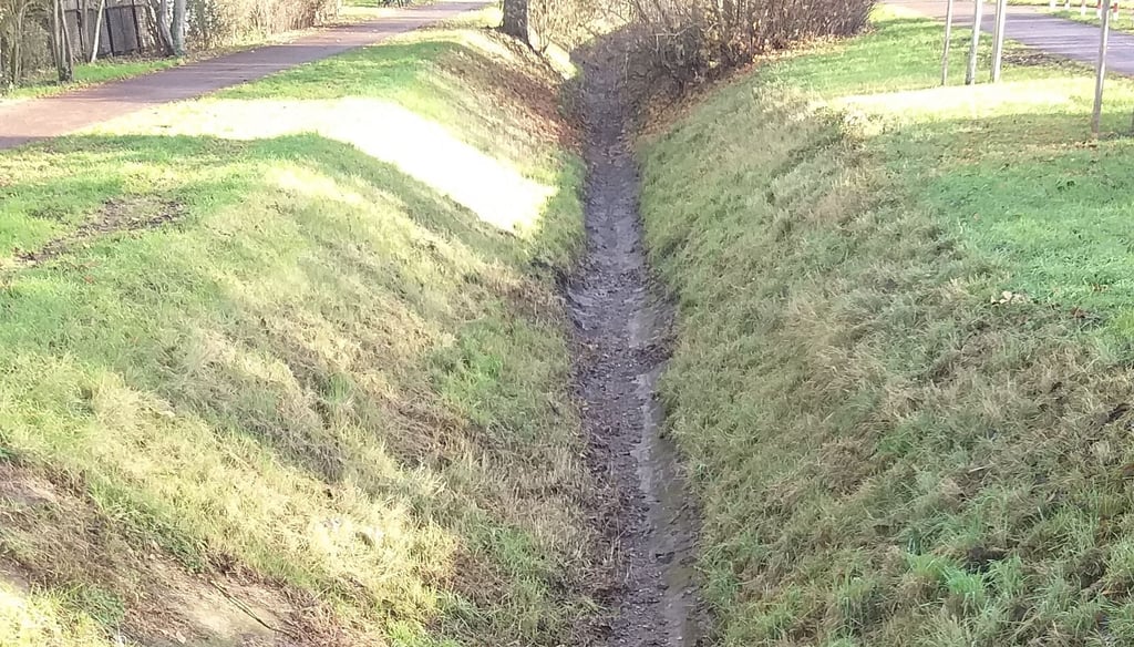 Magdeburg, 27. November, 12 Uhr: Die Schrote ist immer noch ausgetrocknet. Wasser aus Niederndodeleben kommt nicht an.