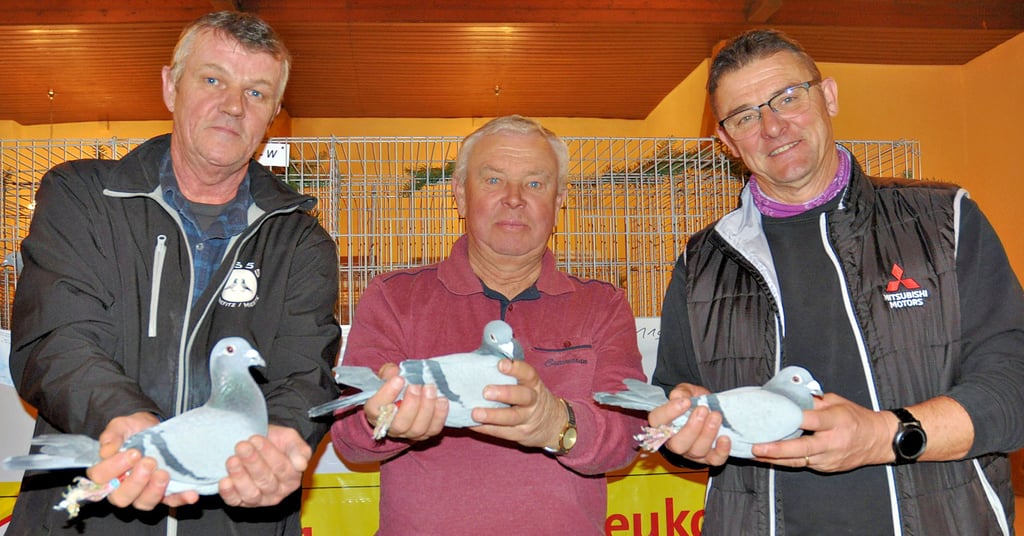 Henning Mathiscig mit der besten Jungtaube (von links), Günther Voigt mit dem zweitplatzierten schönsten Vogel und Sven Schönfeld mit dem schönsten Weibchen.