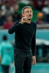 Nun geht es gegen Deutschland: Spaniens Trainer Luis Enrique gestikuliert.
