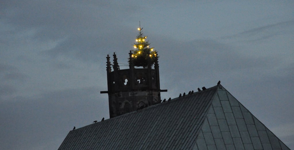 Auf der Wallonerkirche in Magdeburg leuchtet wieder ein Weihnachtsbaum.