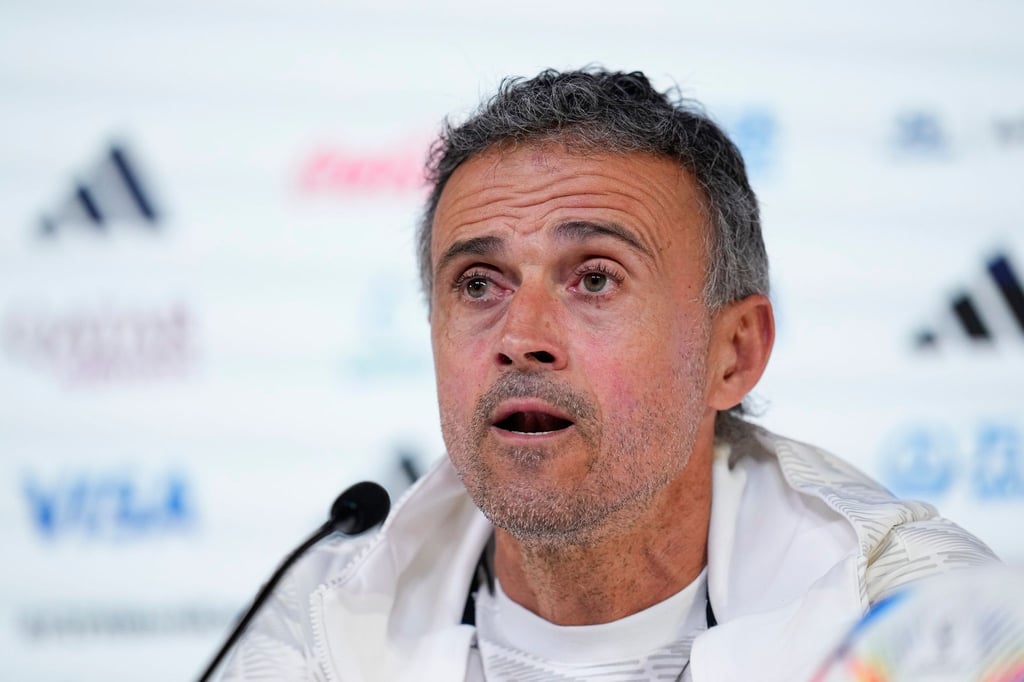 Spaniens Trainer Luis Enrique spricht während einer Pressekonferenz.