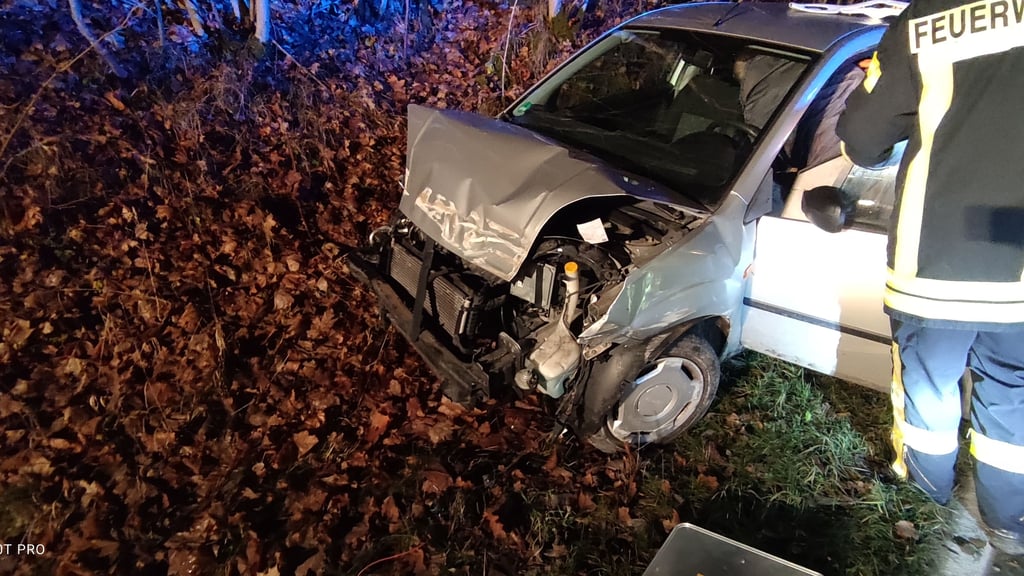 Polizei: Unfall im Harz: Autofahrer kracht gegen Schutzplanke