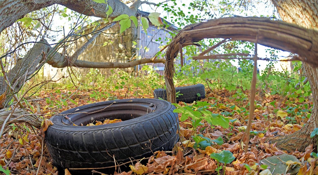Am Garagenkomplex im Gierslebener Weg wird immer wieder illegal Müll entsorgt. Den Umweltsündern ist die Fahrt zum Wertstoffhof "zu teuer".