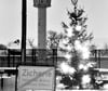 Früher stand in Zicherie an der innerdeutschen Grenze ein Weihnachtsbaum, der von den Böckwitzern gesehen werden konnte. Diese Tradition soll wieder mit Leben gefüllt werden.