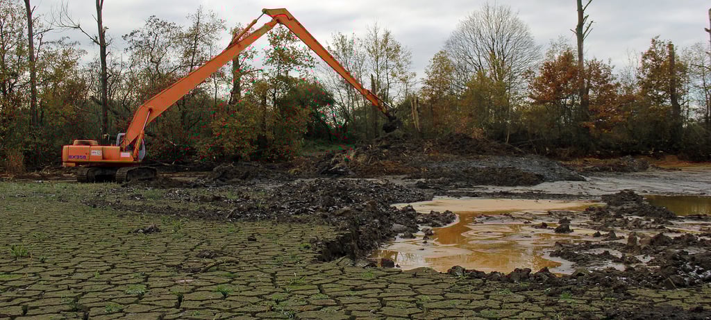 Schlammwüste Himmelsteich: Per Bagger wird die bis zu einen Meter dicke Schicht Faulschlamm abgetragen, insgesamt gut 4000 Kubikmeter.