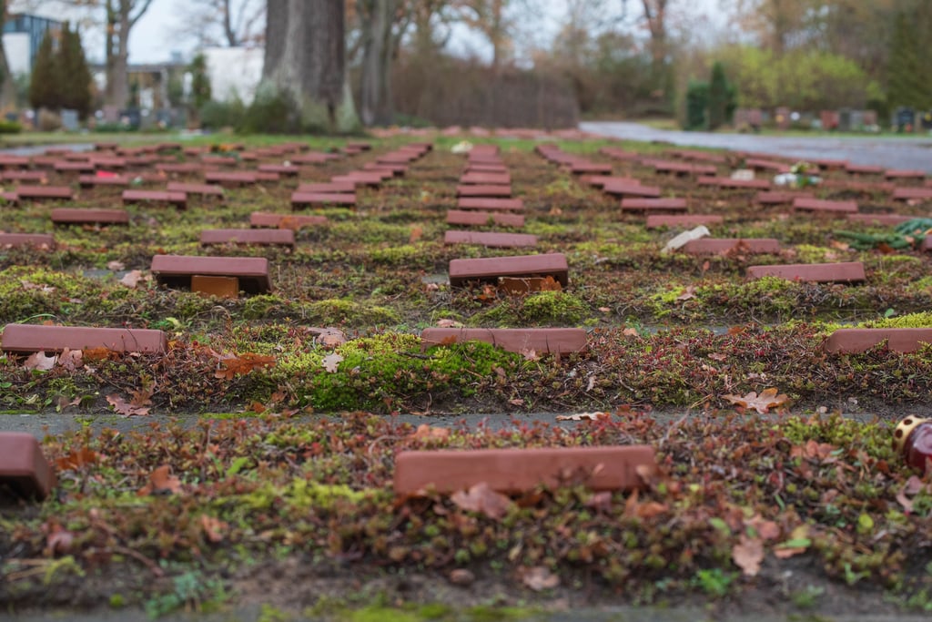 Auf diesem Gräberfeld auf dem Zentralfriedhof Kleinkühnau werden verstorbene ohne Angehörige bestattet.