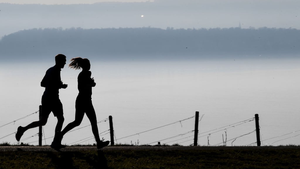 Jogger laufen auf einem Wanderweg in Richtung Meersburg.