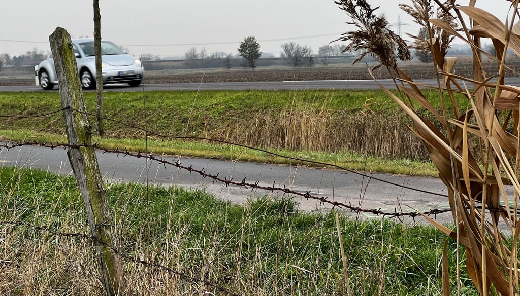 Neben dem Radweg zwischen Schönhausen und Hohengöhren befindet sich dieser Koppelzaun mit Maschendraht.