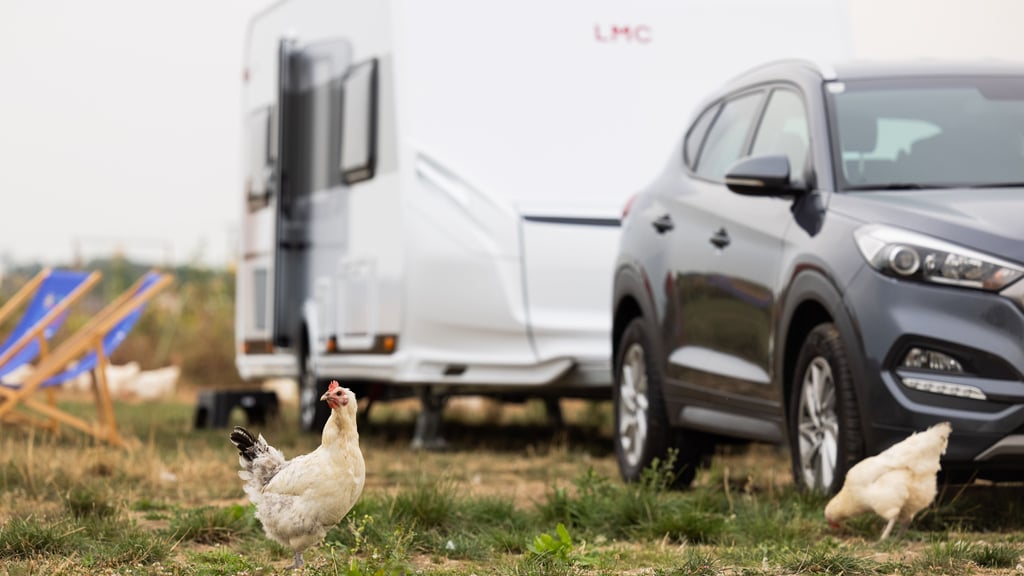 Dieser Schandfleck in Garitz könnte verschwinden und durch einen Caravanpark ersetzt werden.