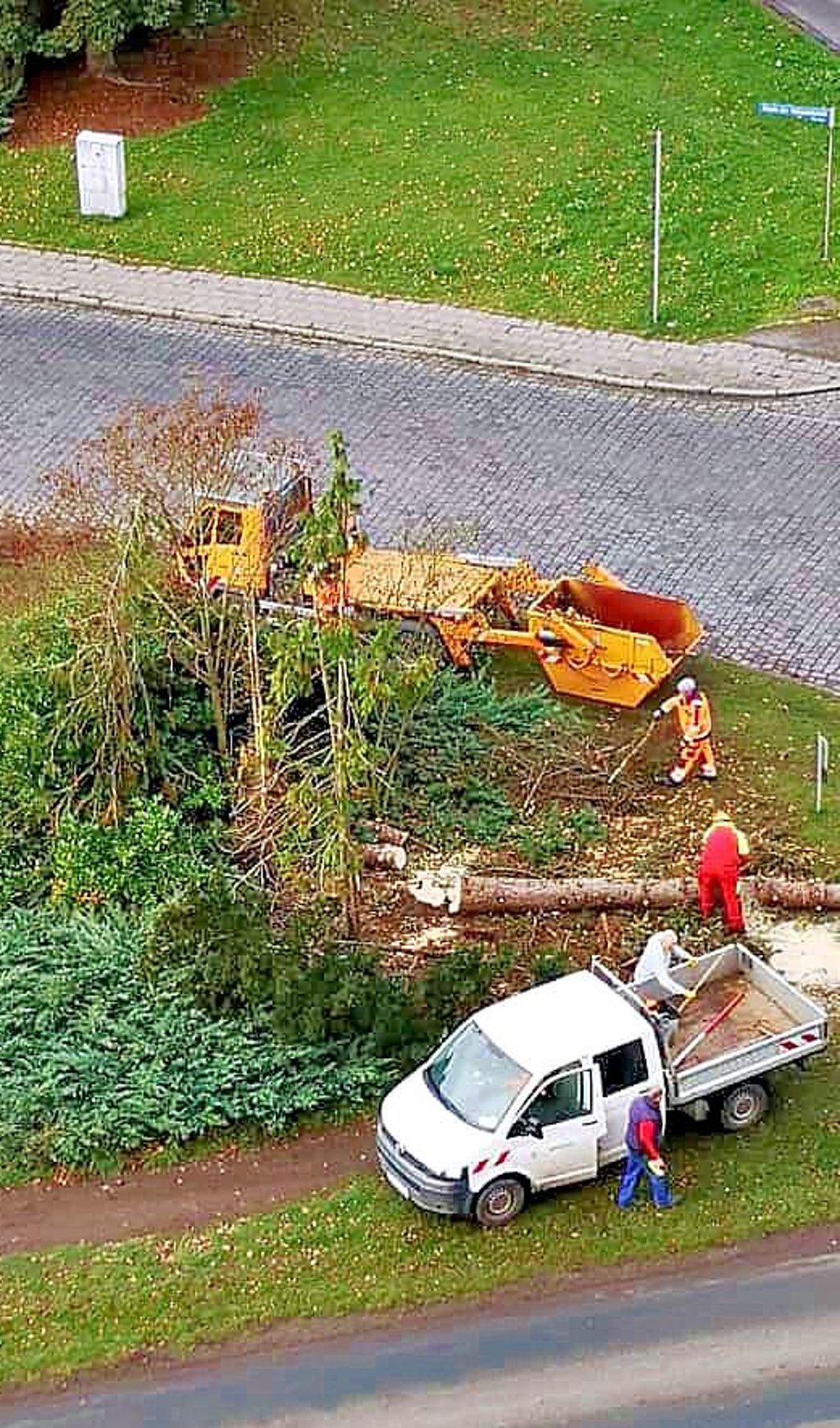 Arbeiter beim Fällen des Baumes an der Erfurter Straße.