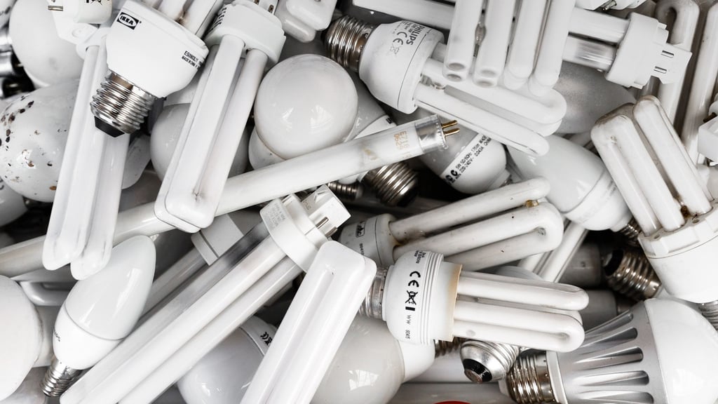 Werden bald nicht mehr verkauft, haben aber nichts im Hausmüll zu suchen: Energiesparlampen ud Leuchtstoffröhren, die man austauscht, gehören in den Elektroschrott.