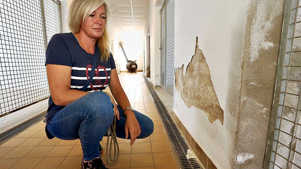 Tierheimleiterin Rasa Zacharias zeigt eine der Schadstellen im Hundehaus. Bis zu einen Meter hoch kraucht die Feuchtigkeit in die Wände.