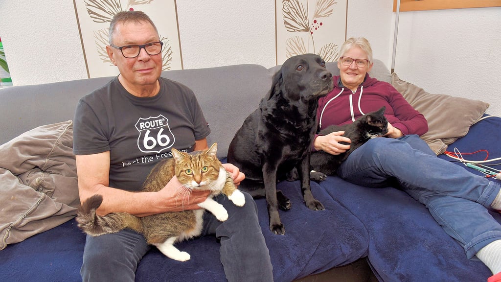 Christina und Ottfried Kaul in Mittelhausen mit Sechs-Kilo-Kater Shadow (li), Labradorhündin Bella und Katze Luna.