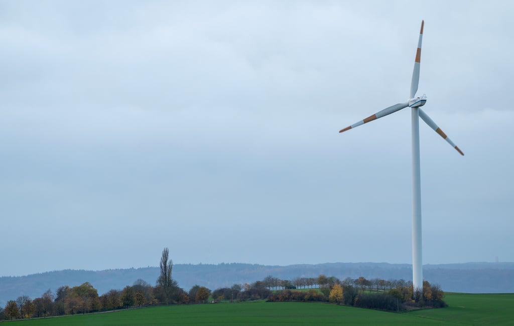 Aus einem Windrad sind Kabel gestohlen worden. Der Schaden liegt bei 40.000 Euro.