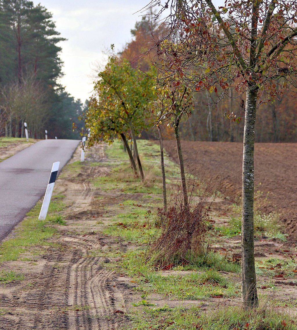 Entlang der Straße von Stegelitz nach Wörmlitz wurden neue Kabel gelegt.