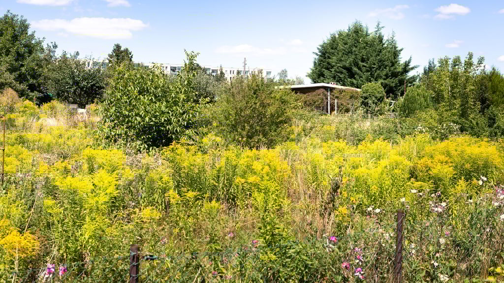 Zahlreiche Gartenvereine haben mit Leerstand zu kämpfen.