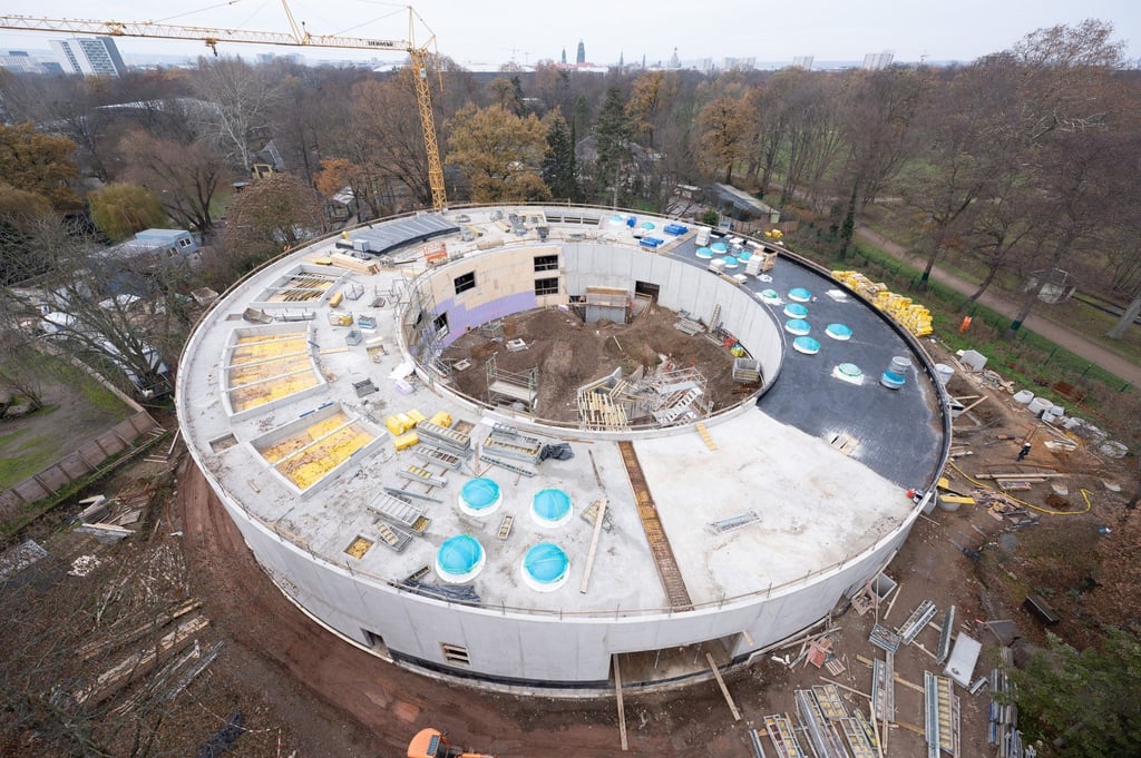 Der knapp neun Meter hohe Rohbau des neuen Orang-Utan-Hauses im Zoo Dresden.