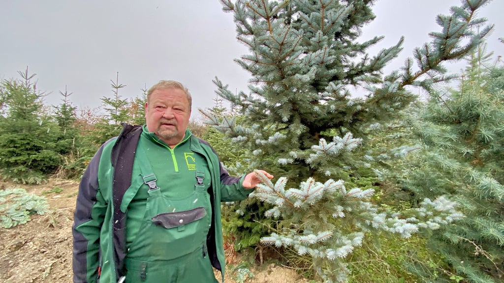 Jochen Kühn auf seiner Plantage auf dem Grundstück im Jessener Gärtnerweg vor einer dicht gewachsenen Blaufichte.