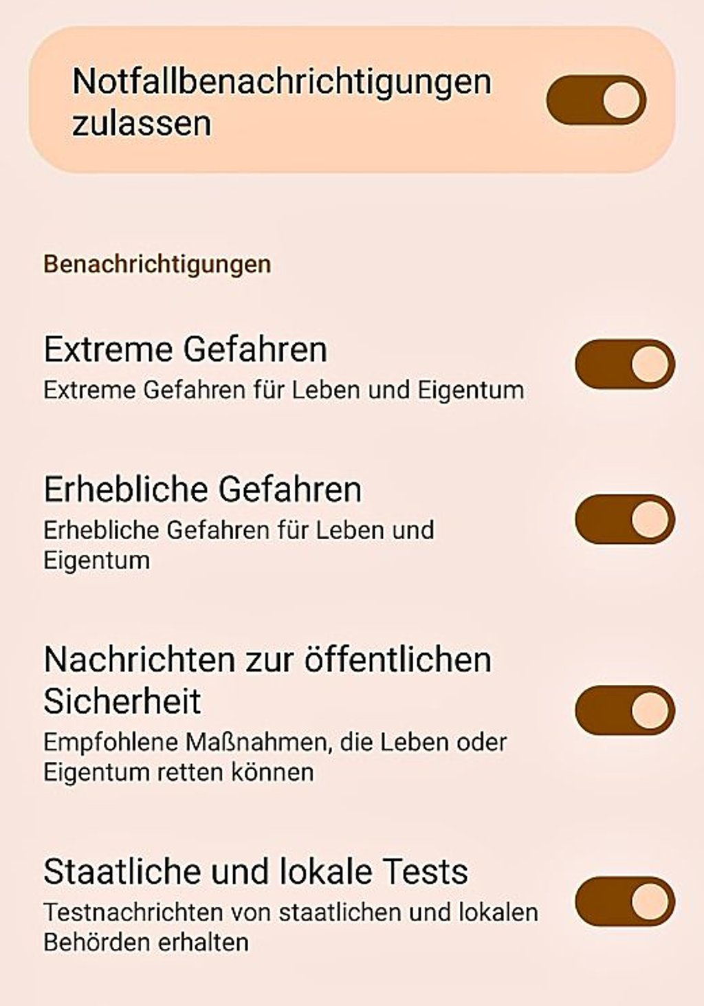 Um Warnmeldungen erhalten zu können, müssen Handybesitzer mitunter nachjustieren und die Meldungen aktivieren. Teilweise sind diese aber auch direkt eingeschaltet.