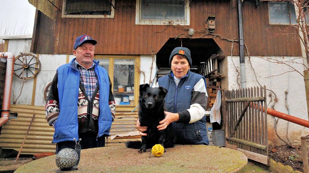 Der pfiffige Hund Blacky  kam vor vier Jahren als Welpe zu Familie Vollborth nach Bennungen. 