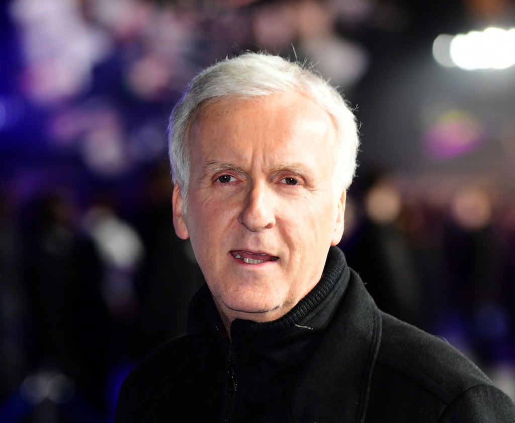 Hollywood-Regisseur James Cameron bei der Weltpremiere des Films "Alita: Battle Angel" im Januar 2019.