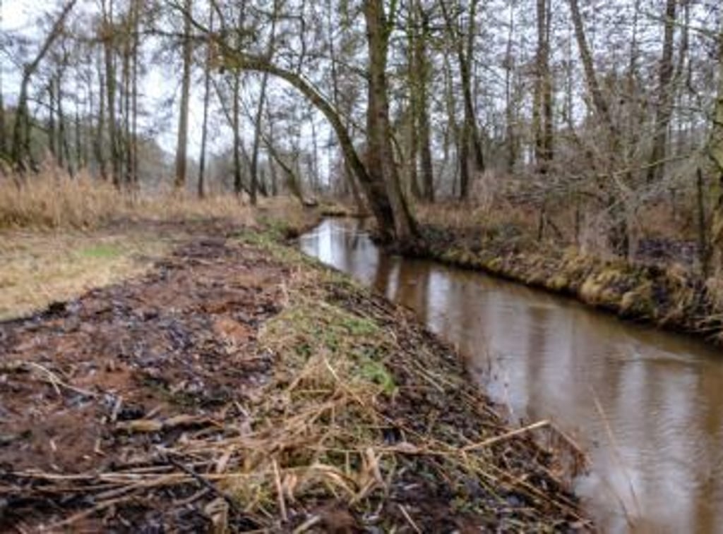 Für die Unterhaltung von Bächen - hier der Wittenberger Rischebach - sind Unterhaltungsverbände zuständig.