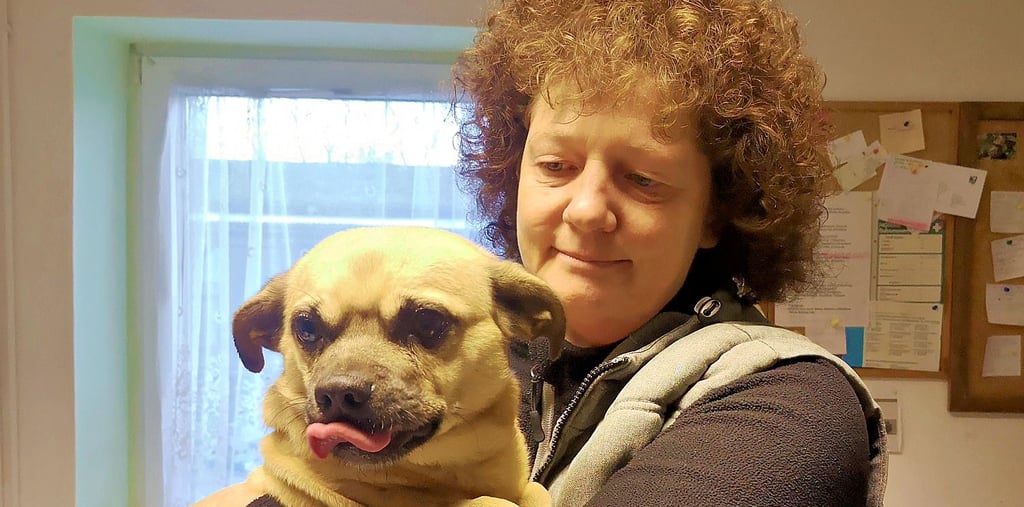 Dagmar Fichtner, Tierheim-Chefin in Derenburg, mit Hund Prinz. Er gehört aufgrund seiner schlechten Zähne zu den Sorgentieren in der Einrichtung und ist häufiger Gast beim Tierarzt.