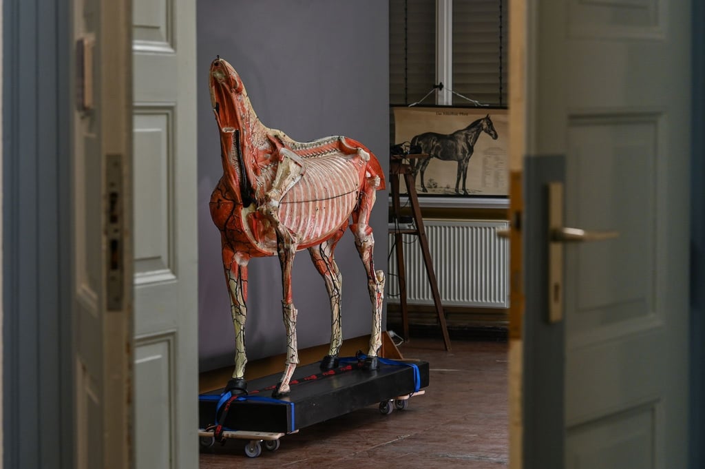 Das Pappmaché-Modell eines Pferdes in Lebensgröße wird zusammengebaut.