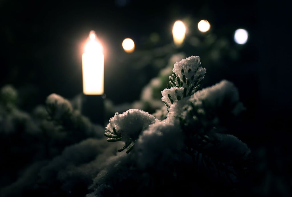 Mit Schnee bedeckt sind die Zweige eines mit Lichtern geschmückten Christbaumes.
