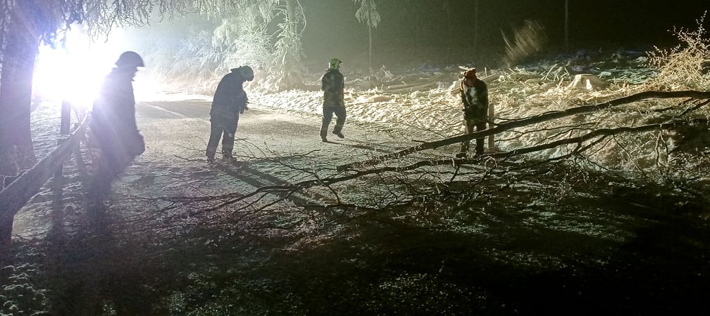 Die Kameraden der Freiwilligen Feuerwehr Elend rückten am ABend des zweiten Advents mehrfach zu Einsätzen aus. Sie mussten Bäume und Äste entfernen, die aufgrund der Schneelast abknickten.