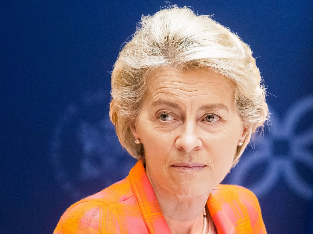 EU-Kommissionspräsidentin Ursula von der Leyen hat genaue Vorstellungen zur Investitionspolitik in Europa.