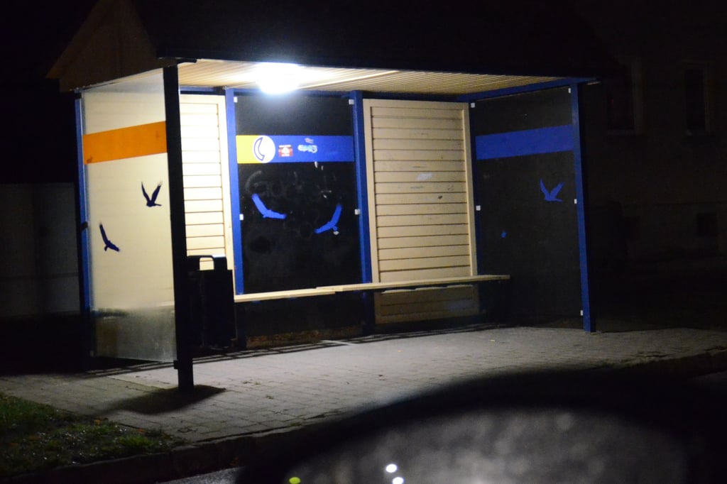 Bushaltestellen sollten, wie dieses Symbolbild zeit, gut beleuchtet sein. In Eggenstedt und Dreileben ist das zurzeit ein Problem.
