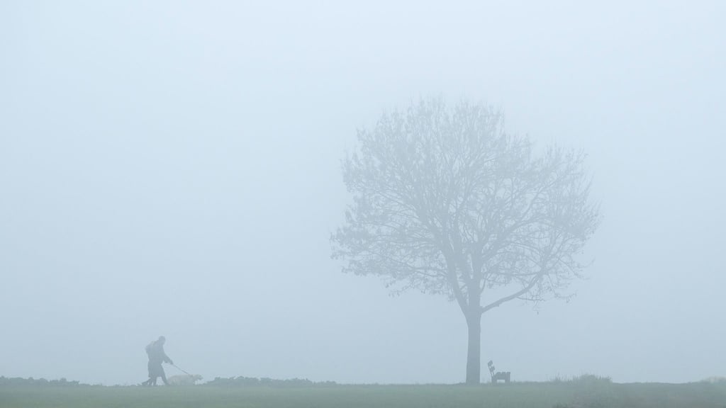 Ein Spaziergänger mit Hund läuft durch die vernebelte Landschaft in Rottweil (Baden-Württemberg).