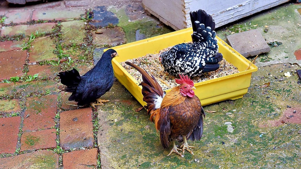  Die glückliche Familie.