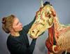Beim Aufbau des historischen Pferdemodells müssen die Restauratoren, hier Katarzyna Cholewinska, hochkonzentriert vorgehen. 