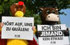Die Tierschutzorganisation Peta hat für Dienstagnachmittag Proteste in Magdeburg angekündigt, bei denen unter anderem Tierschreie aus Lautsprechern auf das Leid der Tiere aufmerksam machen sollen. Symbolbild: