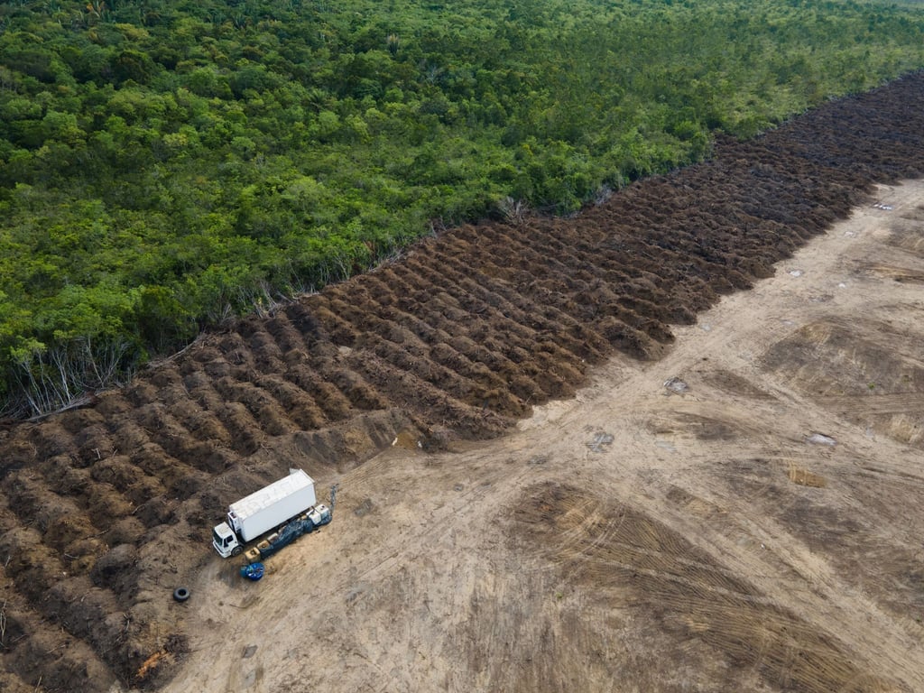 Ein Lastwagen steht in einem abgeholzten Gebiet des Amazonas. Die EU geht mit einem neuen Gesetz gegen die Abholzung der Wälder vor.