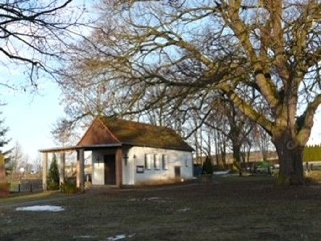 Die 150-jährige Friedhofseiche in Emseloh soll einen Pflegeschnitt erhalten.