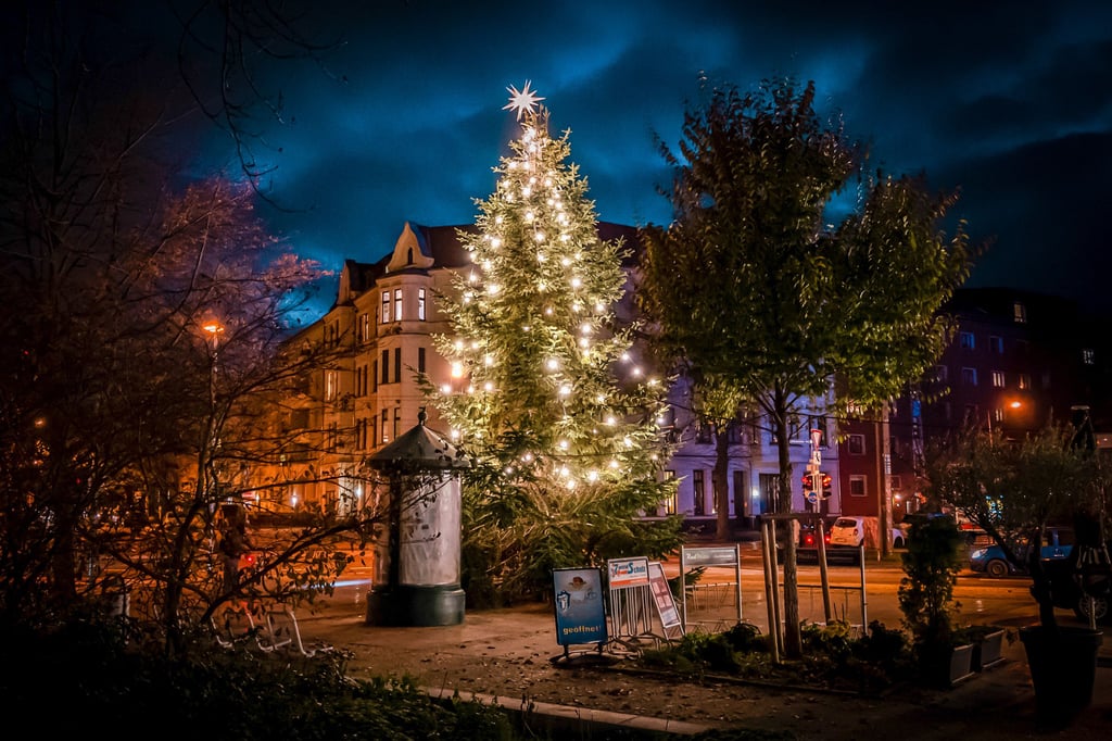 Die Tanne für das Weihnachtsspektakel in Magdeburg-Stadtfeld ist geschmückt.