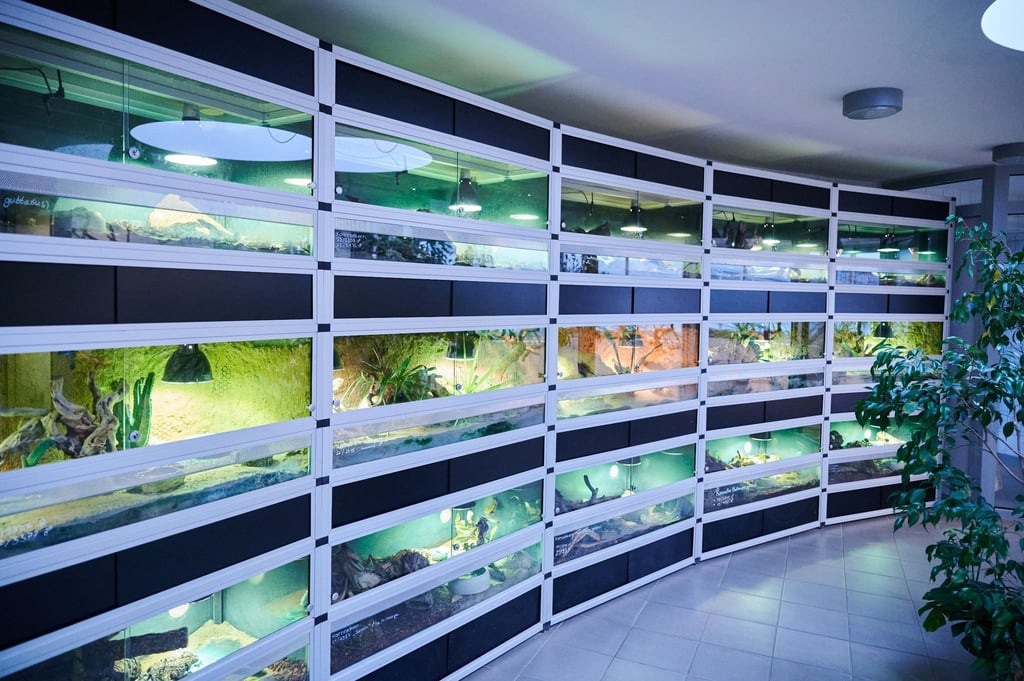 Die Reihen der Terrarien im Tierheim Berlin sind gefüllt mit Schlangen, Schildkröten und anderen Reptilien.