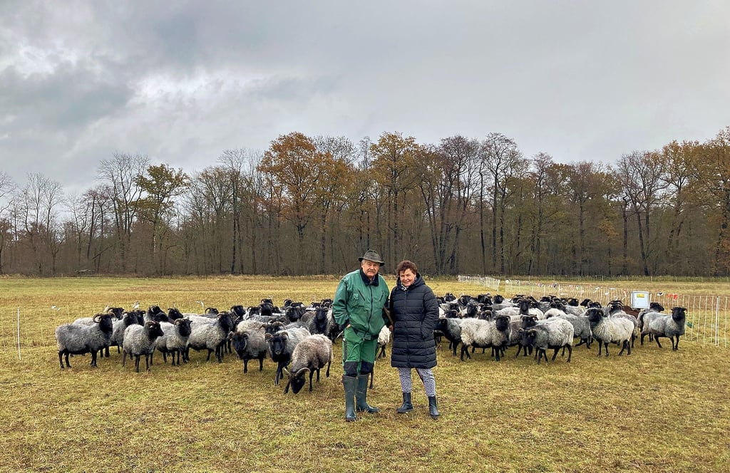 Olav und Ramona Mücke aus Riesigk: Sie ist Kita-Leiterin in Wörlitz – und unterstützt ihren Mann, den Schäfer. Neben Heidschnucken haben sie auch Merinolandschafe und Rhönschafe. Aktuell ist Lämmerzeit.