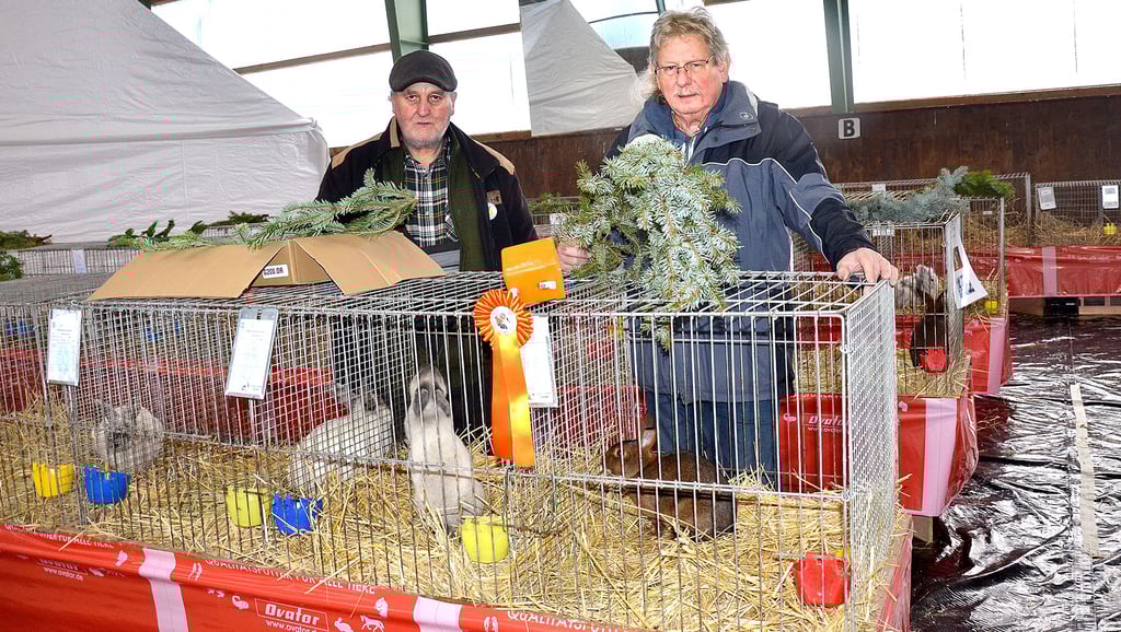 Rudi Beyendorf (l.) und Franz-Ulrich Keindorff vom Kleintierzuchtverein Barleben bei den letzten Vorbereitungen für die Kreisschau für Kaninchen. Bei der Tierschau in der Reithalle können über 270 Tiere von rund 60 Züchtern in der Region bewundert werden.