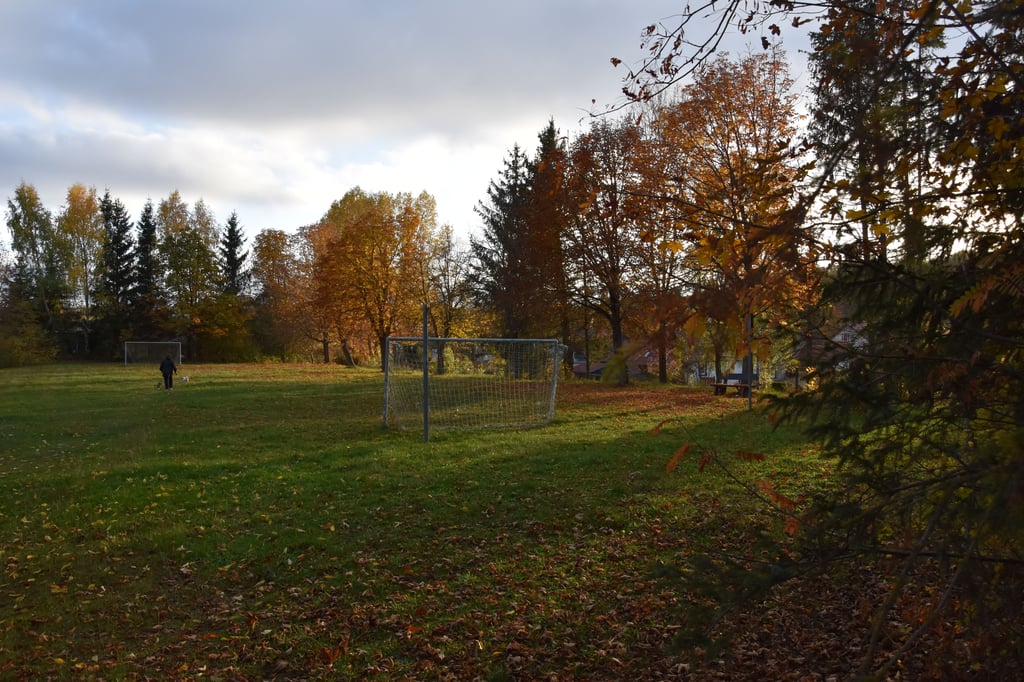 Die Pläne, den Bolzplatz an der Ernst-Thälmann-Straße in Elbingerode mit Wohnhäusern zu bebauen, schlagen derzeit in dem Oberharz-Ortsteil hohe Wellen. Foto: Katrin Schröder