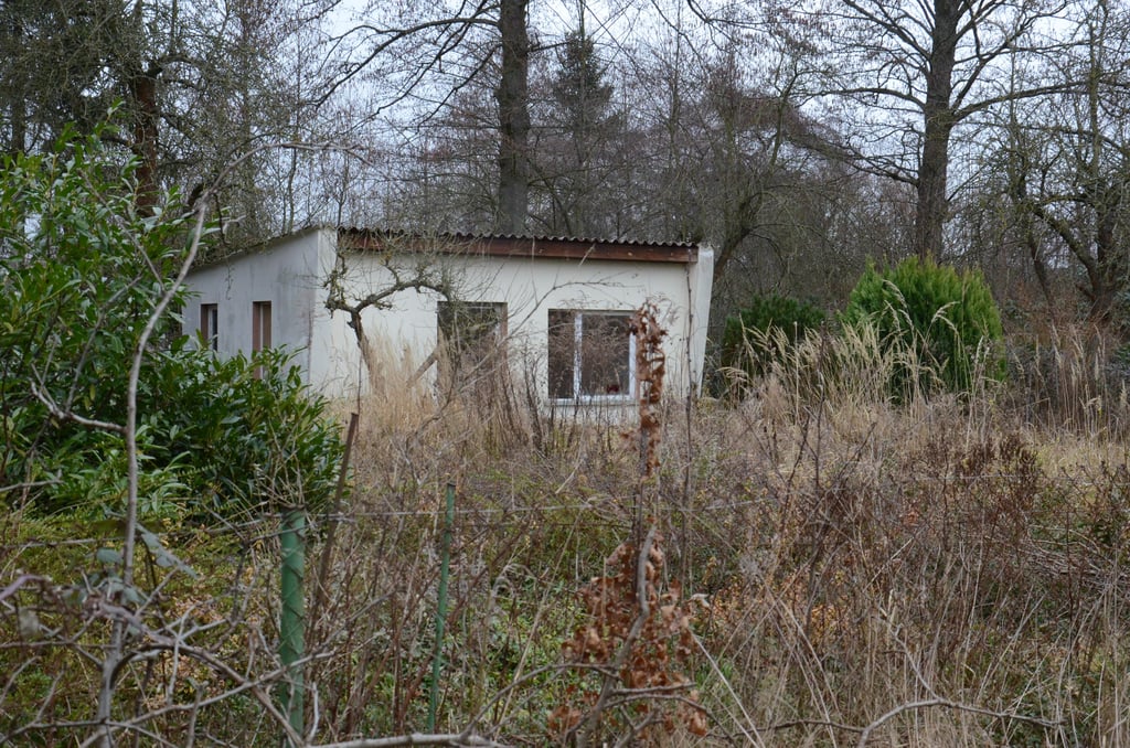 Die Gärten an der Salzwiese sind verlassen und verwahrlost. Dort soll ein neues Wohngebit entstehen.
